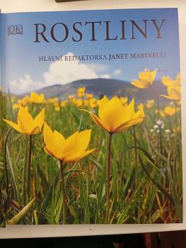 Rostliny