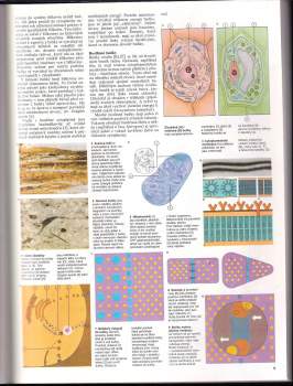 Mitchell Beazley: Rostliny a bezobratlí