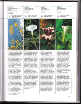 Richard Evans Schultes: Rostliny bohů