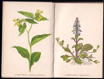 František Antonín Novák: Rostliny - díl III - rostliny 2.