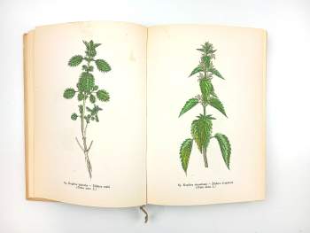 Jaroslav M Petrbok: Rostliny