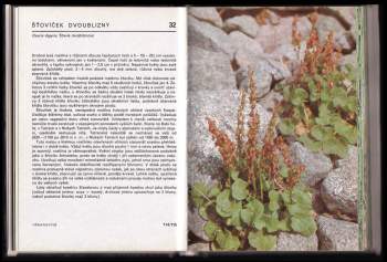 Jiří Soják: Rostliny našich hor