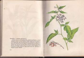 Alois Mezera: Rostliny našich lesů