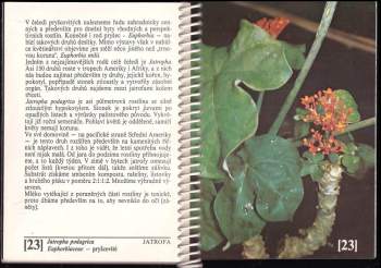 Jiří Haager: Rostliny pro suché byty