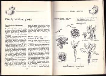 Gisela Sartorius: Rostliny si pomáhají