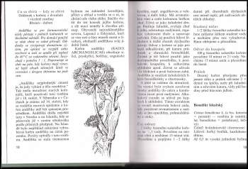 Eva Hoffmannová: Rostliny v domácí lékárně