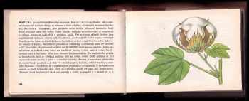 Václav Jirásek: Rostliny známé neznámé