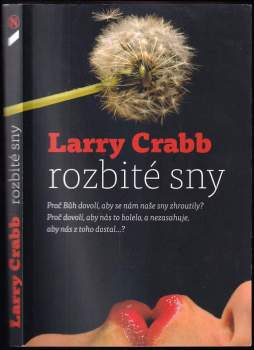 Rozbité sny