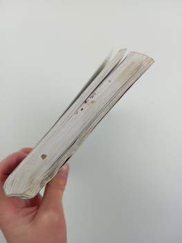 Frances Amelia Yates: Rozenkruciánské osvícenství