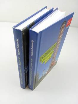 Vladimír Pohorecký: Rozhledny a ztracené hrady  1-2