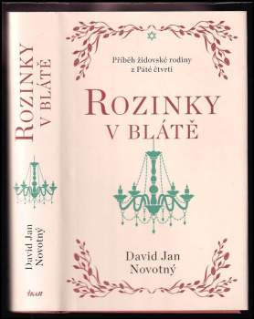 David Jan Novotný: Rozinky v blátě