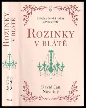 David Jan Novotný: Rozinky v blátě