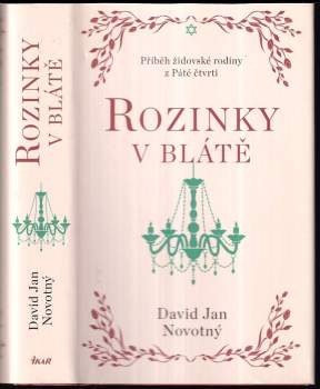 David Jan Novotný: Rozinky v blátě
