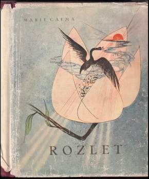 Rozlet