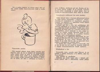 Vladislav Vančura: Rozmarné léto