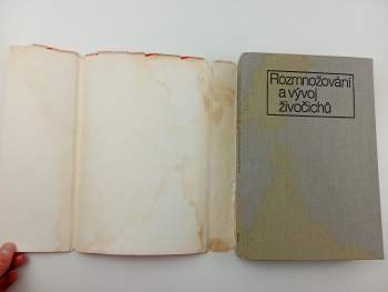 František Sládeček: Rozmnožování a vývoj živočichů
