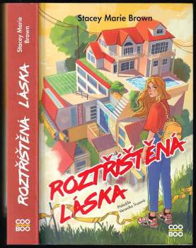 Roztříštěná láska