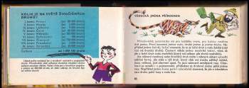 Pavel Rajský: Rozum do kapsy