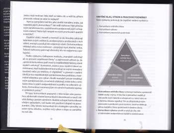 Shawn D Moon: Rozvíjení talentu