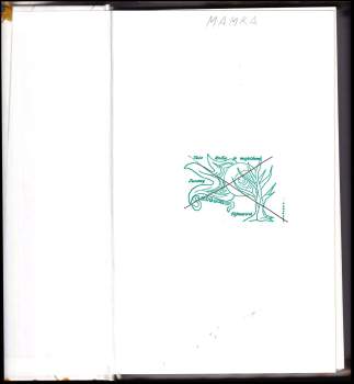 V. C Andrews: Rubínová zář