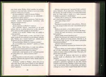 Elizabeth Lowell: Rubínový záliv