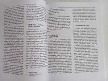 Barbara Ann Brennan: Ruce světla