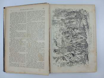 Alois Wiesner: Ruch