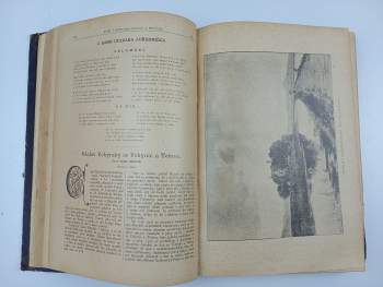 Alois Wiesner: Ruch