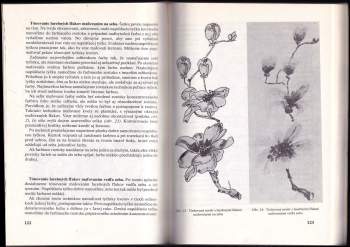 Klára Farkašová-Szomolányiová: Ručne farbené a maľované textílie