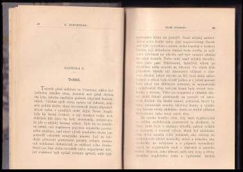 Nathaniel Hawthorne: Rudé písmeno