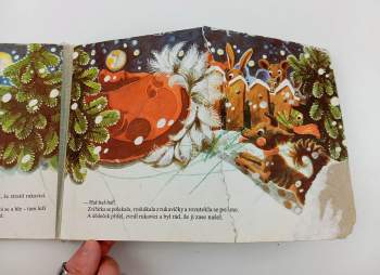 Daniela Ondreičková: Rukavička