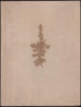 František Táborský: Rusava