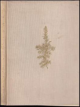 František Táborský: Rusava