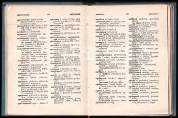 Zdeněk Knězek: Rusko-český a česko-ruský sklářský slovník