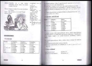 Štěpánka Pařízková: Ruština pro začátečníky a samouky