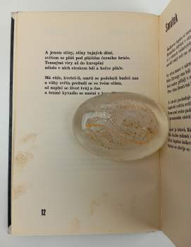 Jan Šnobr: Růže a smrt