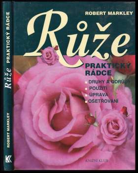 Růže