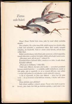 Karel Nový: Rybaříci na Modré zátoce