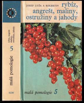 Rybíz, angrešt, maliny, ostružiny a jahody