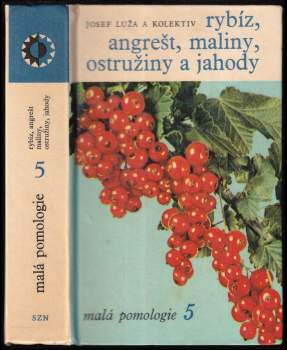 Rybíz, angrešt, maliny, ostružiny a jahody