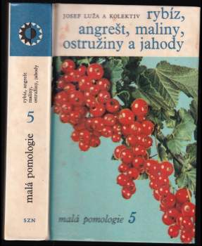 Rybíz, angrešt, maliny, ostružiny a jahody