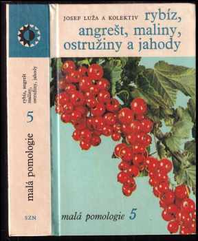 Rybíz, angrešt, maliny, ostružiny a jahody