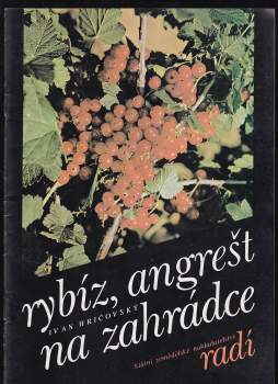 Rybíz, angrešt na zahrádce
