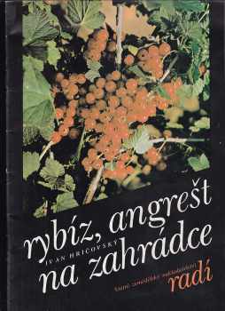 Rybíz, angrešt na zahrádce
