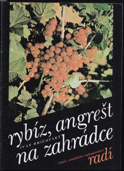 Rybíz, angrešt na zahrádce
