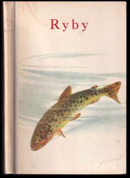 Ryby