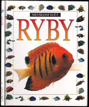 Ryby