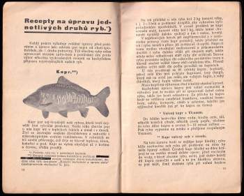 Ryby a jejich úprava