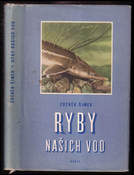 Ryby našich vod