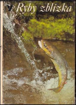 Ryby zblízka